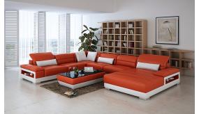 Coltar living in U model Elegans